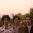 Wallows