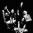 Stabbing Westward